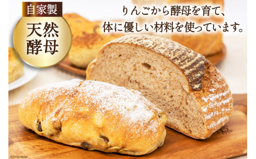 パン ぶんがお試し セット 8個入 [しぜん酵母と石窯ぱん bungaーぶんがー 長野県 池田町 48110557] 手作りパン 天然酵母 自家製酵母 窯焼きパン ハードパン メロンパン ぶどうパン 長野県産