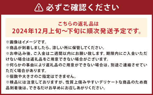 カシオペア 《訳あり》純情はるか 約5kg 