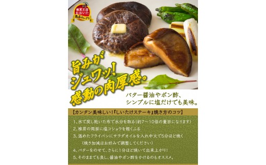 まさに森のアワビ！ステーキ用肉厚乾し椎茸/香菇240g_1085Z