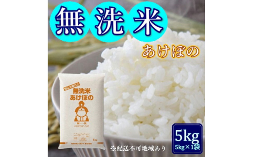 令和6年産 無洗米あけぼの 5kg (5kg×1袋) 岡山県産 お米