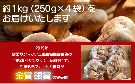 訳あり 生椎茸 1kg 個包装 250ｇ×4 - しいたけ きのこ キノコ 野菜 生しいたけ 不揃い 個包装 無農薬 お鍋 汁物 国産 やまももファーム yo-0015