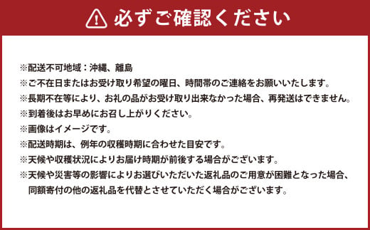 啓翁桜 約90cm×10本 桜 さくら サクラ 花 【2025年1月上旬～2月下旬発送予定】 