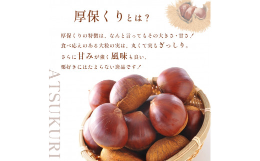 期間限定 ! 甘くて デカい ! 厚保くり ( 生栗 3Lサイズ ) 3kg 山口