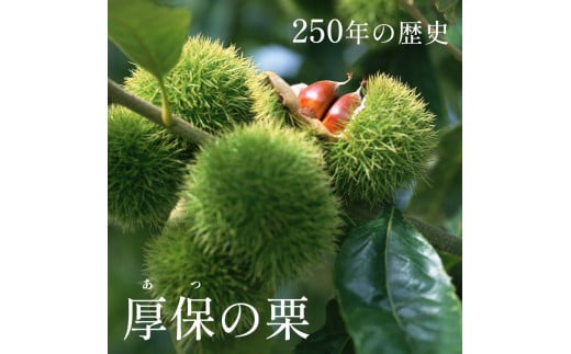 期間限定 ! 甘くて デカい ! 厚保くり ( 生栗 3Lサイズ ) 3kg 山口