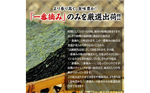 海苔 訳あり 一番摘み 有明海産 海苔 80枚 熊本県産（有明海産） 海苔 全形40枚入り×2袋 《45日以内に出荷予定(土日祝除く)》 海苔 のり 海苔 のり 海苔 訳あり海苔 訳ありのり