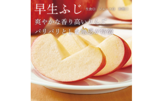 【先行受付：2024年10月下旬以降発送】余市産 早生ふじ 松村農園産のりんご 5kg