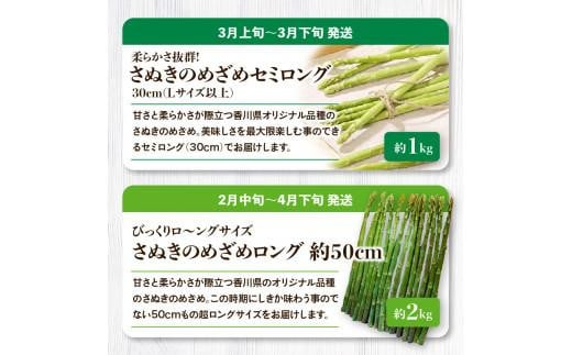 香川県オリジナル品種を満喫できる旬の果物・野菜 定期便Q