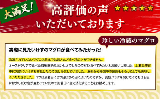 五島列島産 養殖 生本かみマグロ 赤身 中トロ 計約500g / マグロ まぐろ 鮪 刺身 ブロック