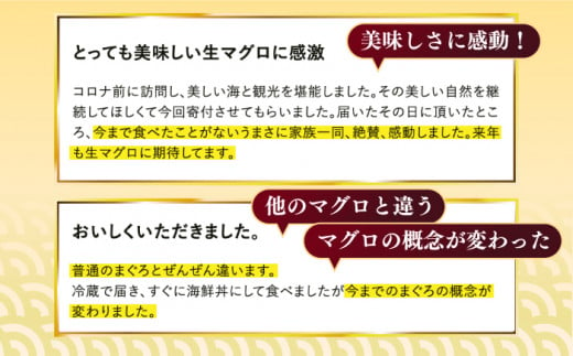 五島列島産 養殖 生本かみマグロ 赤身 中トロ 計約500g / マグロ まぐろ 鮪 刺身 ブロック