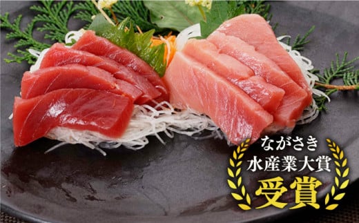 五島列島産 養殖 生本かみマグロ 赤身 中トロ 計約500g / マグロ まぐろ 鮪 刺身 ブロック