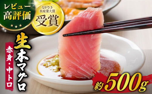 五島列島産 養殖 生本かみマグロ 赤身 中トロ 計約500g / マグロ まぐろ 鮪 刺身 ブロック