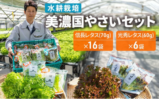 美濃国やさいセット 野菜 野菜セット レタス フリルレタス 水耕栽培 安全 安心 衛生的 新鮮 シャキシャキ 産地直送 サラダ サンドイッチ [№5787-0494]