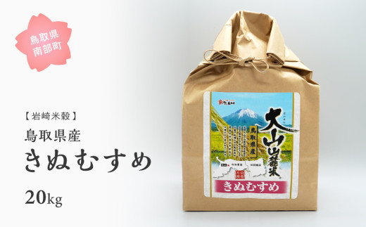 【iw103w】鳥取県産きぬむすめ20kg 令和6年産＜白米でお届け＞