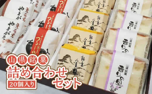 山県銘菓 詰め合わせセット 20個入り [No.376] ／ 和菓子 カステラ 焼菓子 つるし柿 シナモン 岐阜県