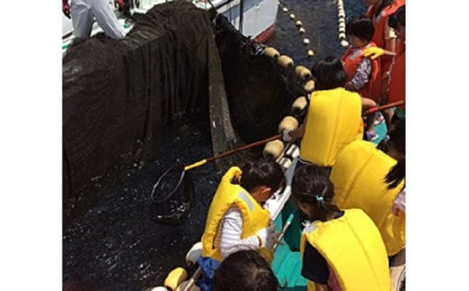 「民宿はまけん」 ペア宿泊券 1泊2食  楯ヶ崎 青の洞窟 遊覧 定置網漁体験付き