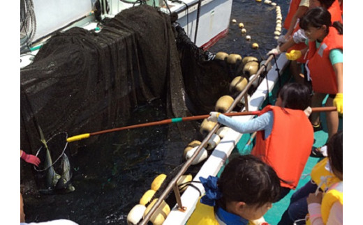 「民宿はまけん」 ペア宿泊券 1泊2食  楯ヶ崎 青の洞窟 遊覧 定置網漁体験付き