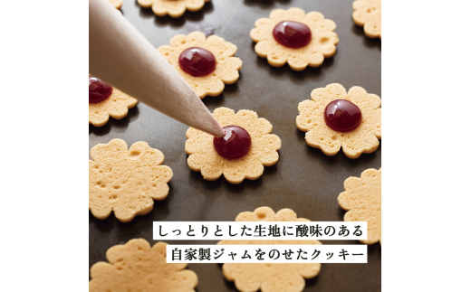 [№5533-0399]南濃みかんショコラセレクション(4缶) フールセック・小缶(2缶) 菓子 お菓子 焼き菓子 セット 詰め合わせ チョコレート クッキー ショコラ 岐阜 海津市