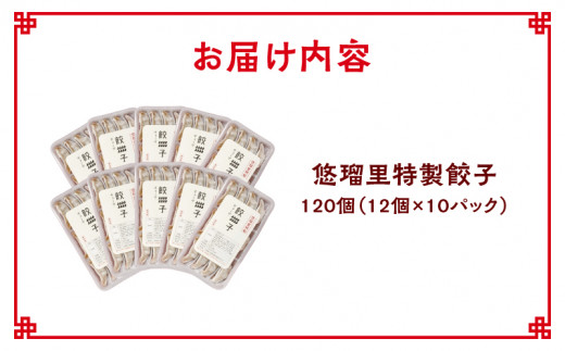 悠瑠里特製餃子120個【宮崎市は餃子購入頻度ランキング ２年連続第１位_M293-002