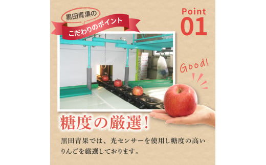 りんご　サンふじ約3kg丸福 光センサー選果 糖度13度以上 青森産りんご 【2025年1月後半発送】 11月 12月 1月 2月 3月 配送 リンゴ 五所川原りんご