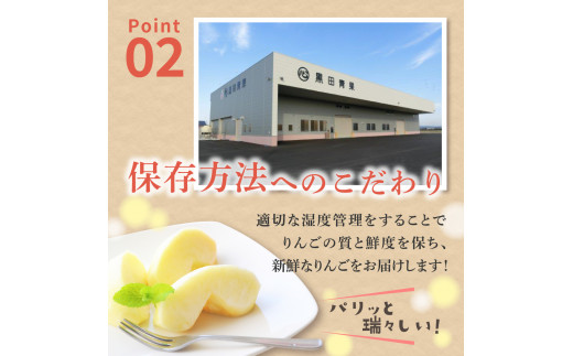 りんご　サンふじ約3kg丸福 光センサー選果 糖度13度以上 青森産りんご 【2025年1月後半発送】 11月 12月 1月 2月 3月 配送 リンゴ 五所川原りんご