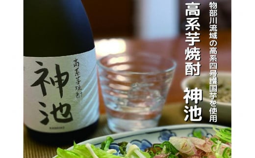 高系芋 焼酎 神池 25度 720ml 2本入