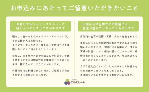 [No.5657-4084]生産者直送 ちょっと不揃いなシャインマスカット ちょっと訳あり 計1.2kg以上 （３房） 《信州すざか ともよファーム》■2024年発送■※9月上旬頃～10月下旬頃まで順次発送予定