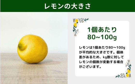 [2〜3月発送] 有機JAS認証 瀬戸内オーガニックレモン 3kg 国産 大崎上島 皮まで安心 瀬戸内レモン 有機栽培 有機 オーガニック フルーツ 果物