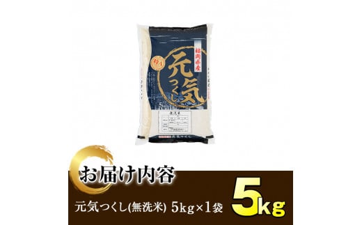 ＜令和6年産＞福岡県産ブランド米「元気つくし」無洗米(5kg)お米 5キロ ごはん ご飯【ksg0377】【朝ごはん本舗】