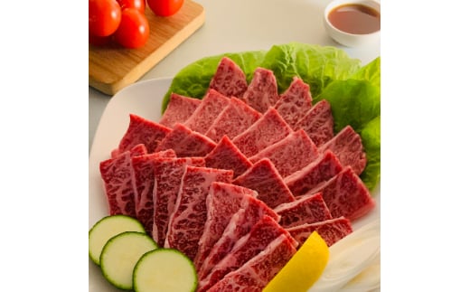 ＜博多和牛＞焼肉用　(合計500g)_ 赤身 バラ 肩ロース ウデ モモ 国産牛 お肉 牛肉 焼肉 冷凍 送料無料 黒毛和牛 国産 九州産 福岡県産 産直 産地直送 【1232081】