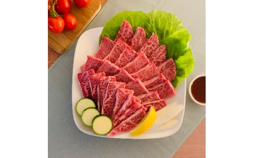 ＜博多和牛＞焼肉用　(合計500g)_ 赤身 バラ 肩ロース ウデ モモ 国産牛 お肉 牛肉 焼肉 冷凍 送料無料 黒毛和牛 国産 九州産 福岡県産 産直 産地直送 【1232081】