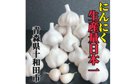 ＜月500箱売れた＞青森県十和田市産 乾燥にんにく(13玉)【1529073】