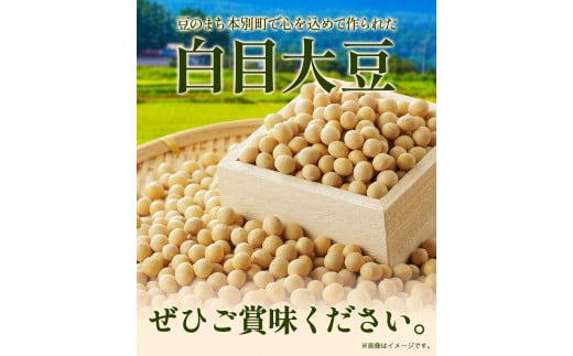 令和6年度産 北海道十勝 本別町産 白目大豆5kg《60日以内に出荷予定(土日祝除く)》本別町農業協同組合 送料無料 北海道 本別町