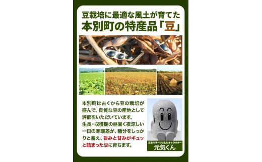 令和6年度産 北海道十勝 本別町産 白目大豆5kg《60日以内に出荷予定(土日祝除く)》本別町農業協同組合 送料無料 北海道 本別町