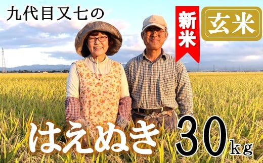 令和6年産 はえぬき 玄米 30kg 2024年産 山形県産 尾花沢市産お
