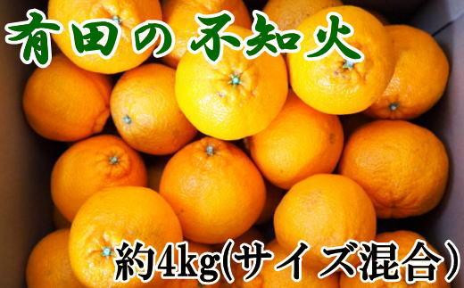 【濃厚】有田産不知火約4kg（M～3Lサイズ混合）★2025年2月上旬頃より順次発送【TM40】