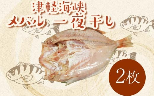 小泊港水揚げ 津軽海峡 メバル 一夜干し 2枚 【卓立水産】魚 海鮮 ウスメバル メバル めばる 津軽海峡 高級 海産物 干物 中泊町 青森 F6N-017