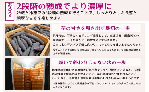 石焼き芋を食べているような超濃厚スイートポテト6個(合計750g)【冷凍焼き芋  おいもパイ パイ スイートポテト ケーキ― スイーツ ダイエット 小分け ギフト プレゼント 国産 無添加 茨城県産 さつまいも サツマイモ お芋 いも おやつ 干し芋 石焼き芋 紅はるか シルクスイート 紅はるか ねっとり 甘い 完熟 熟成 冷凍 やきいも 焼き芋 焼いも 】