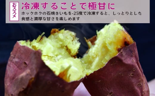 石焼き芋を食べているような超濃厚スイートポテト6個(合計750g)【冷凍焼き芋  おいもパイ パイ スイートポテト ケーキ― スイーツ ダイエット 小分け ギフト プレゼント 国産 無添加 茨城県産 さつまいも サツマイモ お芋 いも おやつ 干し芋 石焼き芋 紅はるか シルクスイート 紅はるか ねっとり 甘い 完熟 熟成 冷凍 やきいも 焼き芋 焼いも 】