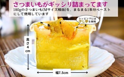 石焼き芋を食べているような超濃厚スイートポテト6個(合計750g)【冷凍焼き芋  おいもパイ パイ スイートポテト ケーキ― スイーツ ダイエット 小分け ギフト プレゼント 国産 無添加 茨城県産 さつまいも サツマイモ お芋 いも おやつ 干し芋 石焼き芋 紅はるか シルクスイート 紅はるか ねっとり 甘い 完熟 熟成 冷凍 やきいも 焼き芋 焼いも 】