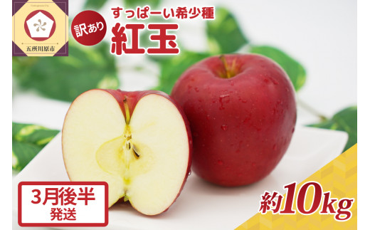 紅玉10kg 程度 紅玉リンゴ 訳あり 青森|タルトタタン に最適 不揃い りんご 11月 12月 1月 2月 3月 【3月後半発送】