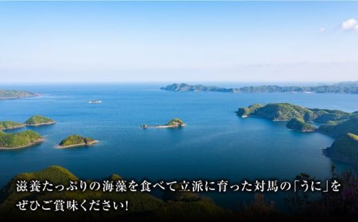 ひとしお 粒うに 2本 《 対馬市 》【 うえはら株式会社 】新鮮 島の恵み 長崎 雲丹 ウニ 海産物 おかず おつまみ 冷凍 [WAI090]