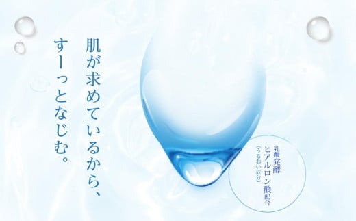 ロート製薬【肌ラボ 極潤】化粧水つめかえ４点セット