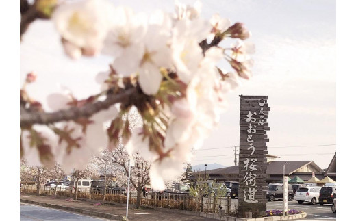 【返礼品なし】福岡県大任町への寄附