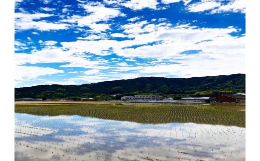 【返礼品なし】福岡県大任町への寄附