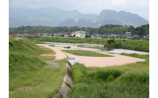 【返礼品なし】福岡県大任町への寄附