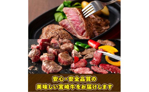 宮崎牛 切り落とし(計1kg・500g×2P) 牛肉 肉 ブランド牛  冷凍 国産 精肉 お取り寄せ 黒毛和牛 宮崎県 【LJ005】【レグセントジョイラー株式会社】