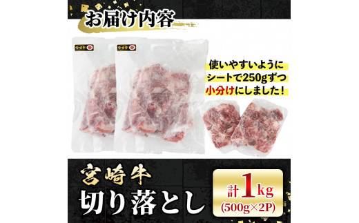 宮崎牛 切り落とし(計1kg・500g×2P) 牛肉 肉 ブランド牛  冷凍 国産 精肉 お取り寄せ 黒毛和牛 宮崎県 【LJ005】【レグセントジョイラー株式会社】