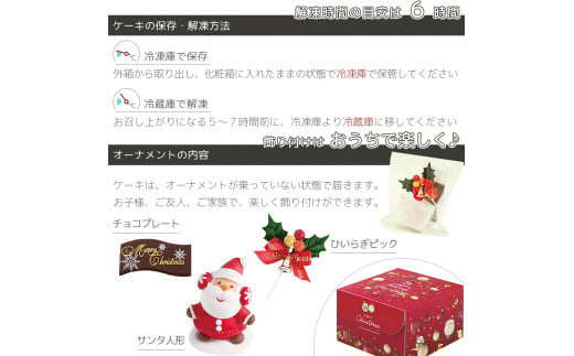 【 先行予約 】 クリスマスケーキ フルーツタルト 5号 冷凍 フルーツ スイーツ デザート 洋菓子 果物 フルーツ 苺 いちご オレンジ キウイフルーツ ブルーベリー パイン タルト お菓子 おやつ ケーキ クリーム ギフト プレゼント 贈答 送料無料 徳島県 阿波市 CAKE EXPRESS