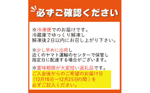 【 先行予約 】 クリスマスケーキ フルーツタルト 5号 冷凍 フルーツ スイーツ デザート 洋菓子 果物 フルーツ 苺 いちご オレンジ キウイフルーツ ブルーベリー パイン タルト お菓子 おやつ ケーキ クリーム ギフト プレゼント 贈答 送料無料 徳島県 阿波市 CAKE EXPRESS