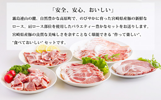 高原育ちの宮崎県産豚肉5種バラエティーセット1.5kg おいしさ満喫 [ロース 肩ロース 夕食 お弁当 一人暮らし 万能食材 ステーキ とんかつ ポークソテー 生姜焼き しゃぶしゃぶ  焼肉 肉巻き 300g 小分け 使い切り] TF0779-P00070